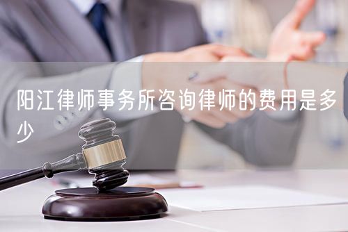 陽(yáng)江律師事務(wù)所咨詢律師的費(fèi)用是多少