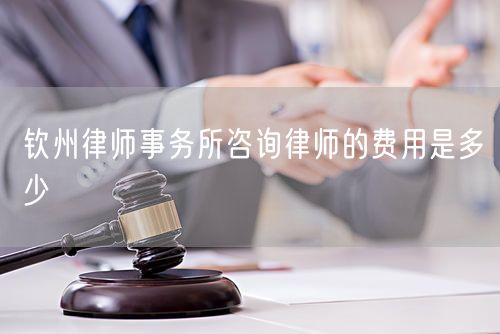 欽州律師事務(wù)所咨詢律師的費(fèi)用是多少