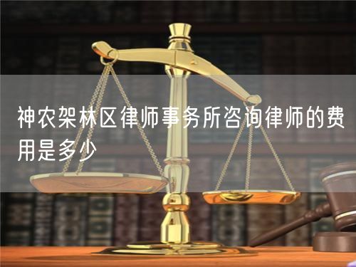 神農(nóng)架林區(qū)律師事務(wù)所咨詢(xún)律師的費(fèi)用是多少