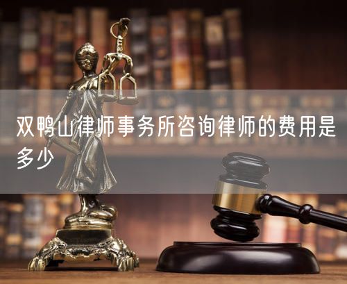雙鴨山律師事務(wù)所咨詢律師的費用是多少