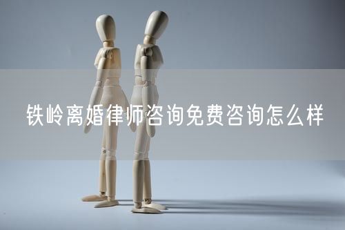 鐵嶺離婚律師咨詢免費咨詢怎么樣