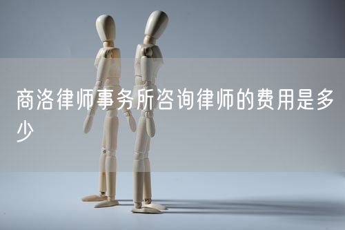 商洛律師事務(wù)所咨詢律師的費(fèi)用是多少