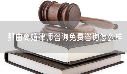 那曲離婚律師咨詢免費咨詢怎么樣