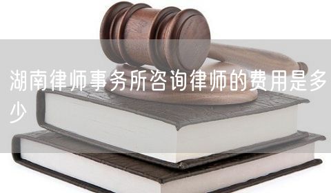 湖南律師事務(wù)所咨詢律師的費(fèi)用是多少