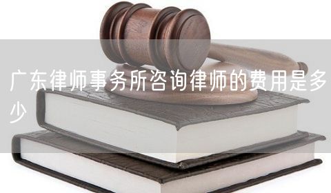 廣東律師事務(wù)所咨詢律師的費(fèi)用是多少